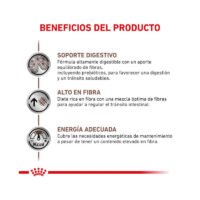 Royal Canin Gastrointestinal High Fibre beneficios pienso perro