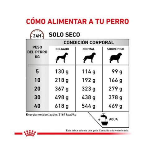 Royal Canin Gastrointestinal High Fibre racionamiento pienso perro