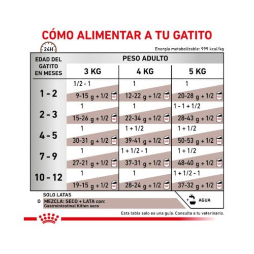 Royal Canin Gastrointestinal Kitten racionamiento comida húmeda
