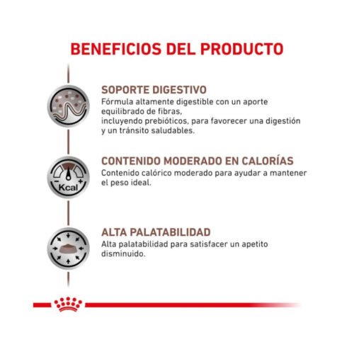 Royal Canin Gastrointestinal Moderate Calorie ventajas digestivas gato
