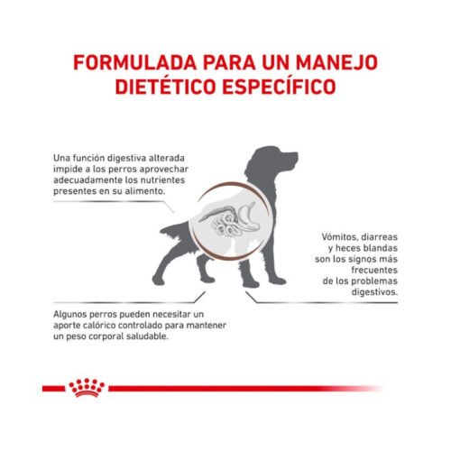 Royal Canin Gastrointestinal Moderate Calorie beneficios pienso perro