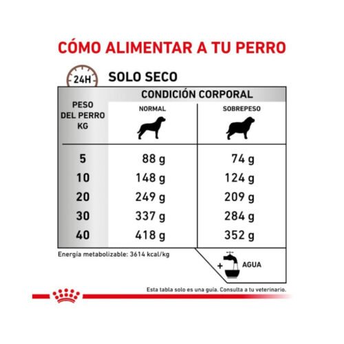 Royal Canin Gastrointestinal Moderate Calorie racionamiento pienso perro