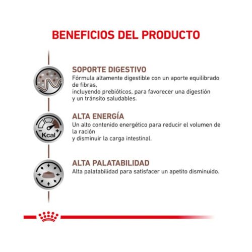 Royal Canin Gastrointestinal beneficios secundarios perro