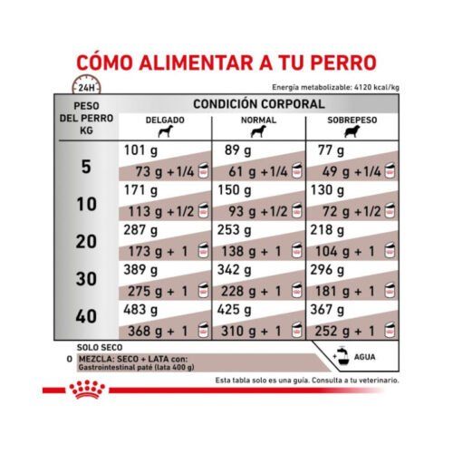 Royal Canin Gastrointestinal racionamiento pienso perro