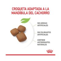 Croquetas Royal Canin Giant Junior en detalle