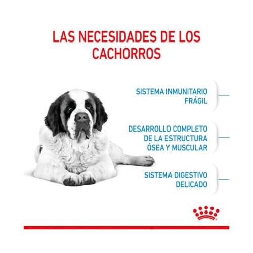 royal-canin-pienso-royal-canin-giant-junior-perro-junior-necesidades Necesidades de los cachorros Royal Canin Giant Junior