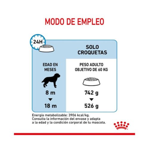 royal-canin-pienso-royal-canin-giant-junior-perro-junior-tabla Tabla de raciones Royal Canin Giant Junior