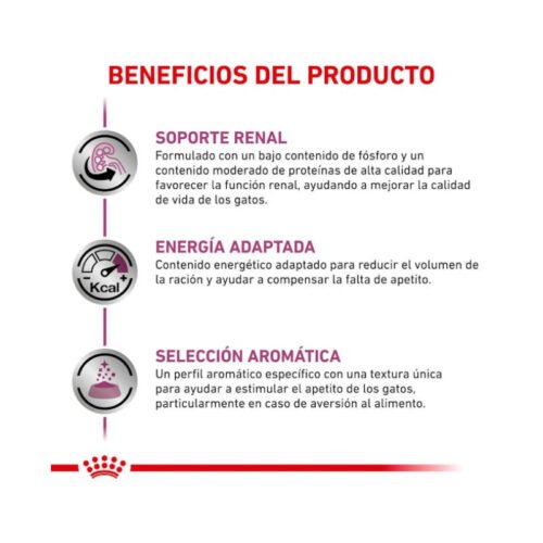 Beneficios Royal Canin Renal con vacuno gato