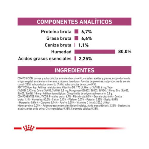 Kit veterinario Royal Canin Renal con vacuno gato