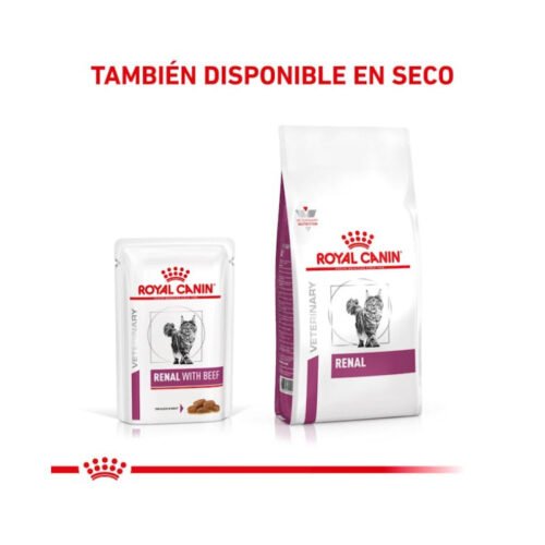 Mix feeding Royal Canin Renal con vacuno gato