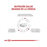 Royal Canin Renal Small Dog beneficios clave del producto
