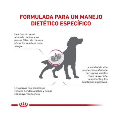 Royal Canin Renal Small Dog beneficios adicionales del producto