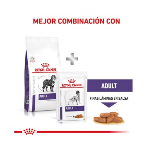 detalle de croquetas royal canin adult large dog comida seca