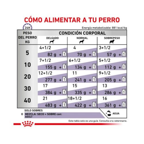 Royal Canin Adult Finas Láminas en Salsa recomendaciones de uso
