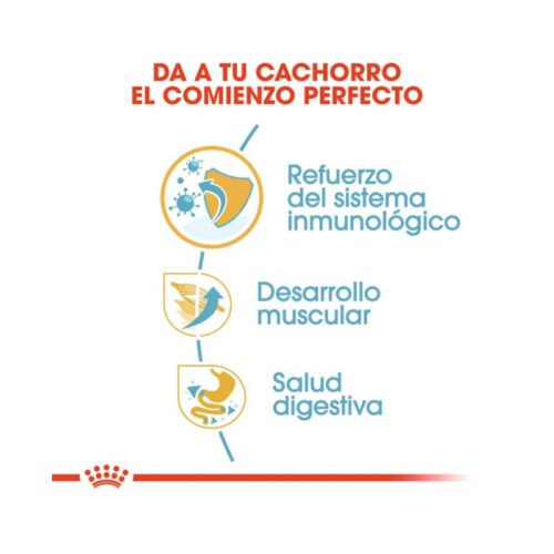 imagen con beneficios principales del pienso Royal Canin Boxer Puppy