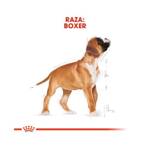 imagen extra del saco Royal Canin Boxer Puppy