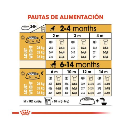 imagen con tabla de raciones del pienso Royal Canin Boxer Puppy