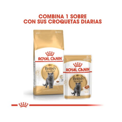 Imagen del mix feeding con pienso y sobres Royal Canin British Shorthair Adult