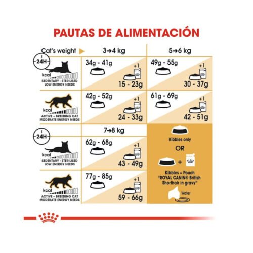 Tabla de racionamiento Royal Canin British Shorthair Adult