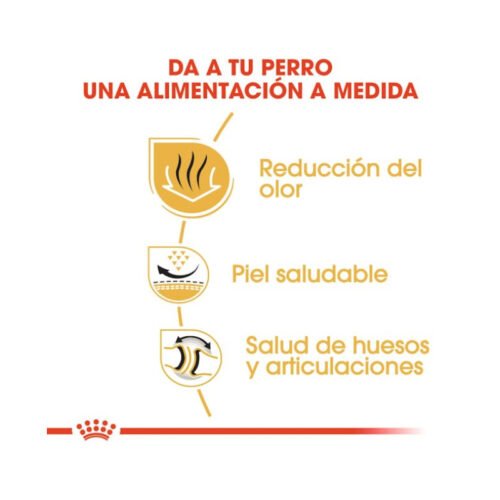 imagen de la croqueta del pienso Royal Canin Bulldog Adult