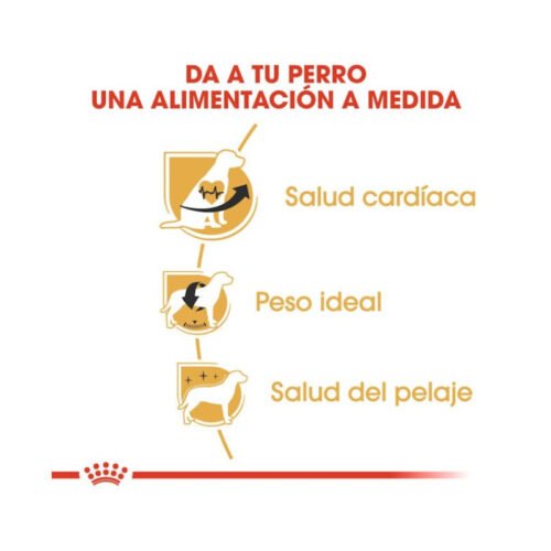 Imagen de los beneficios del pienso Royal Canin Cavalier King Charles Adult