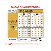 Imagen de la tabla de racionamiento del pienso Royal Canin Chihuahua Adult