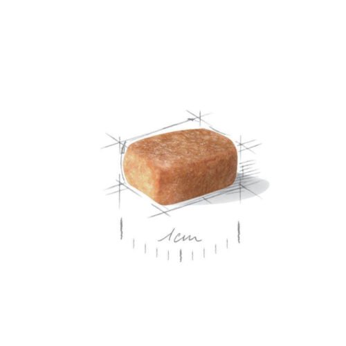 Imagen promocional Royal Canin Chihuahua Puppy con un cachorro chihuahua