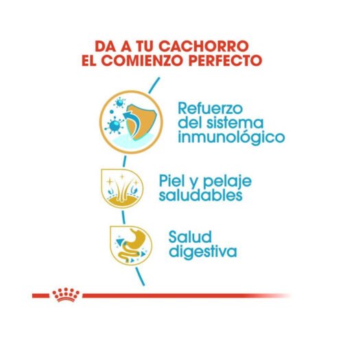 imagen con beneficios principales del pienso Royal Canin Cocker Puppy