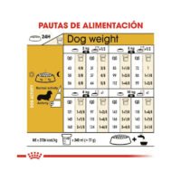 Imagen del racionamiento recomendado Royal Canin Dachshund Adult