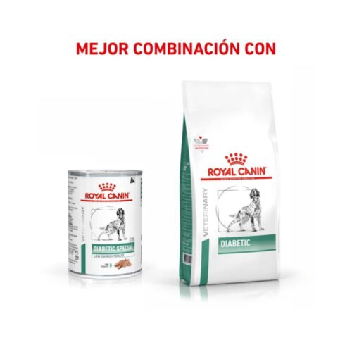 Mix feeding Royal Canin Diabetic Special Low Carbohydrate (Paté)