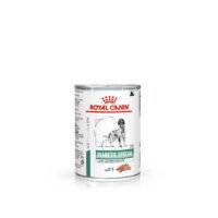Royal Canin Diabetic Special Low Carbohydrate (Paté) en lata de comida húmeda para perro
