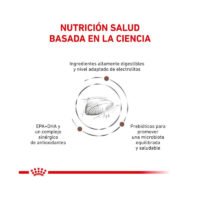 Royal Canin Gastrointestinal pienso para gato adulto beneficios 1