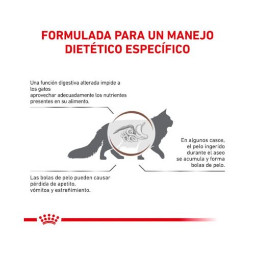Royal Canin Gastro Intestinal Hairball pienso seco para gatos adultos