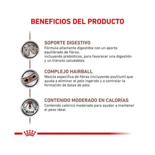 Royal Canin Gastro Intestinal Hairball pienso seco para gatos adultos