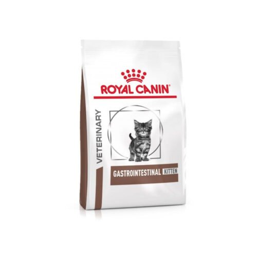 Royal Canin Gastrointestinal Kitten pienso para gato cachorro beneficios