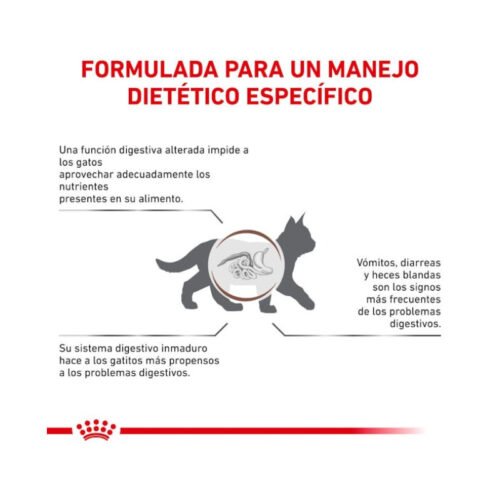 Royal Canin Gastrointestinal Kitten pienso para gato cachorro beneficios extra