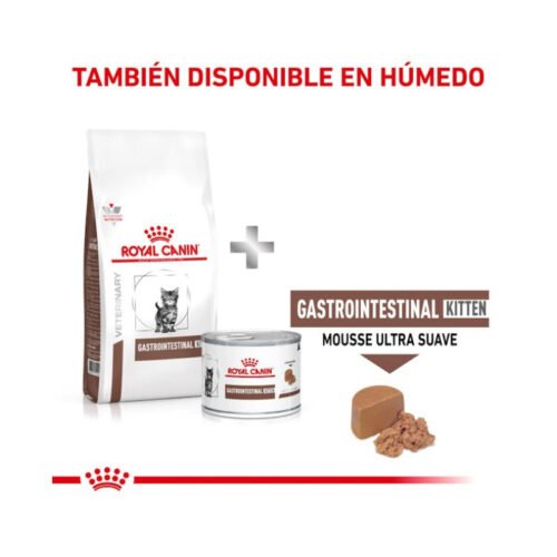 Mix feeding del pienso Royal Canin Gastro Intestinal Kitten