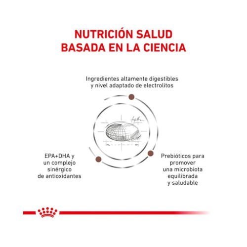 Royal Canin Gastrointestinal Moderate Calorie pienso para gato adulto beneficios 1