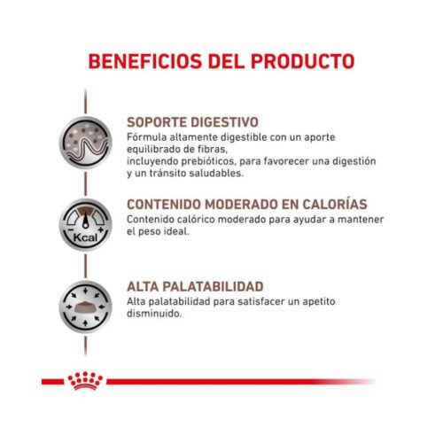 Royal Canin Gastrointestinal Moderate Calorie pienso para gato adulto beneficios 2
