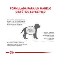 Beneficios pienso Royal Canin Gastro Intestinal Puppy