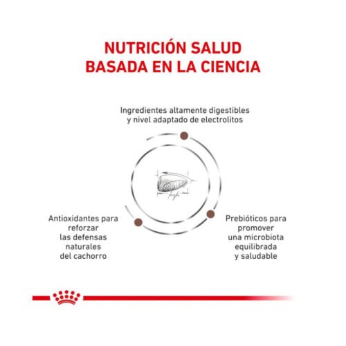 Beneficios adicionales pienso Royal Canin Gastro Intestinal Puppy
