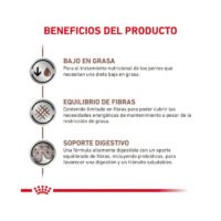 Royal Canin Gastrointestinal Low Fat Paté envase secundario perro