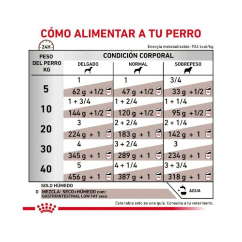 Royal Canin Gastrointestinal Low Fat Paté información producto perro