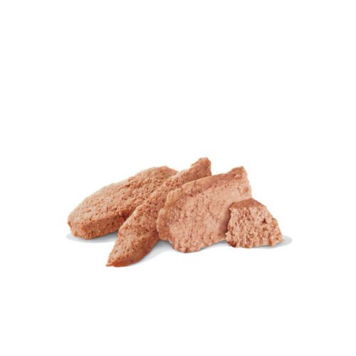 Royal Canin Gastrointestinal Low Fat Paté pack completo perro