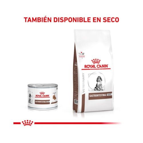 alimentación mixta Royal Canin Gastrointestinal Puppy
