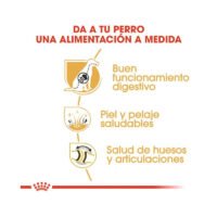 Royal Canin German Shepherd Adult 5+ beneficios