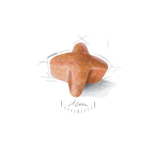 Royal Canin German Shepherd Adult croquetas