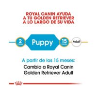 Royal Canin Golden Retriever Puppy etapa de crecimiento