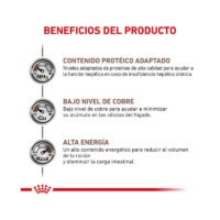 Royal Canin Hepatic pienso para gato adulto beneficios