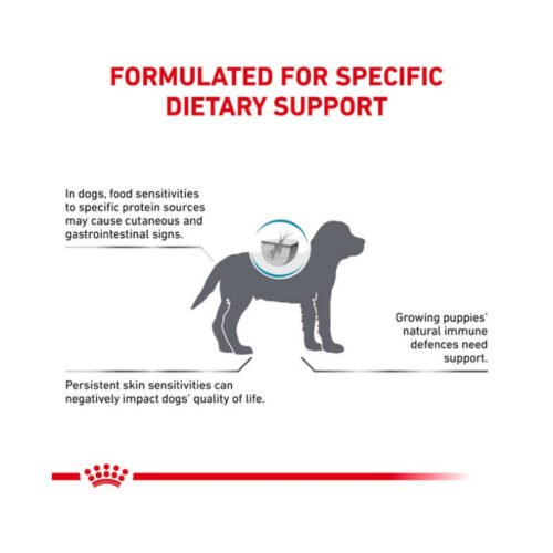 Royal Canin Hypoallergenic Puppy ingredientes del producto